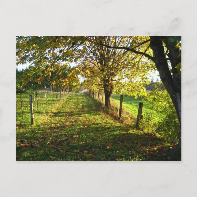 Postal Paseo de otoño (Anverso)