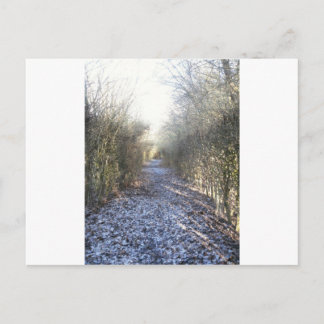 Postal Paseo del invierno