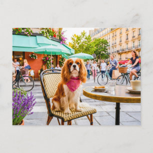 Postal Paseo del spaniel por la ciudad en una cafetería a