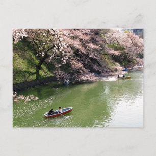 Postal Paseo en barco en Chidorigafuchi: Tokio, Japón