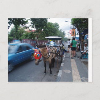 Postal paseo en caballo por Bali