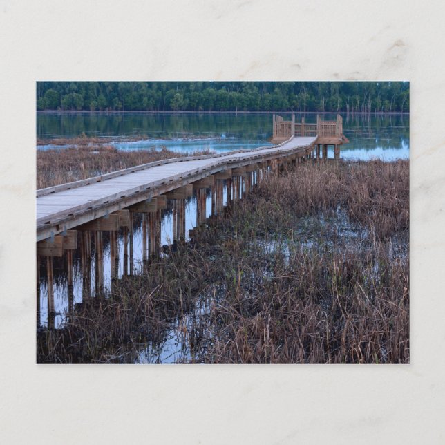 Postal Paseo en el refugio Bloomington por encima del blo (Anverso)