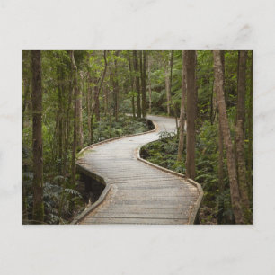 Postal Paseo marítimo a Nelson Falls, Franklin - Gordon