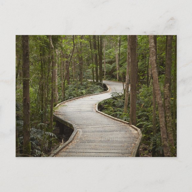 Postal Paseo marítimo a Nelson Falls, Franklin - Gordon (Anverso)