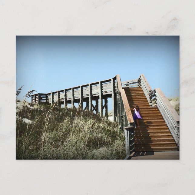 Postal Paseo marítimo de Florida, Costa del Golfo de Cabo (Anverso)