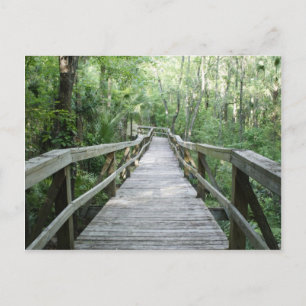 Postal Paseo pacífico