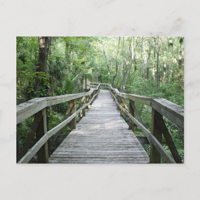 Postal Paseo pacífico (Anverso)