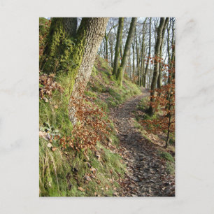 Postal Paseo por el bosque de otoño: Cumbria