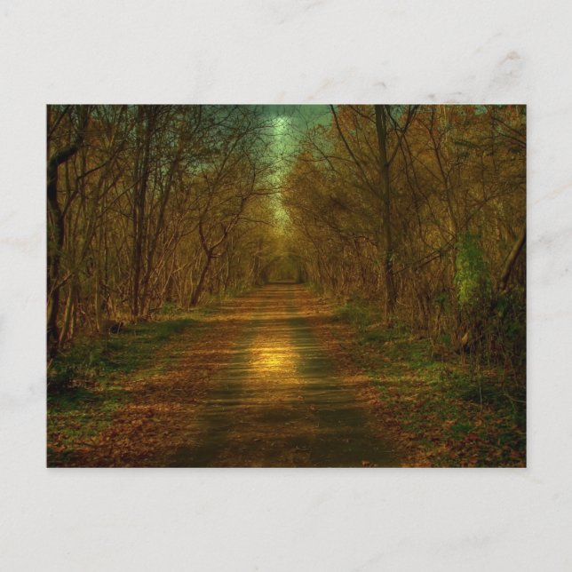 Postal paseo por la ciudad de Lynchburg (Anverso)