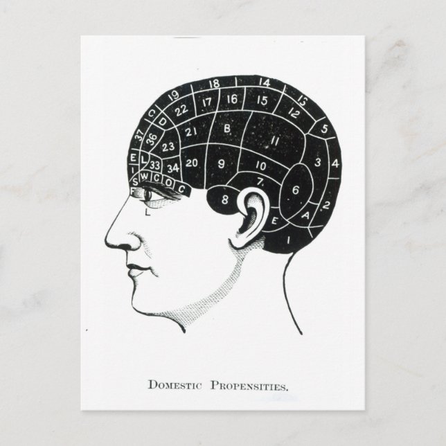 Postal Pasivos domésticos (Anverso)