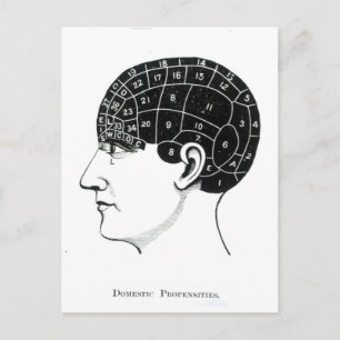 Postal Pasivos domésticos