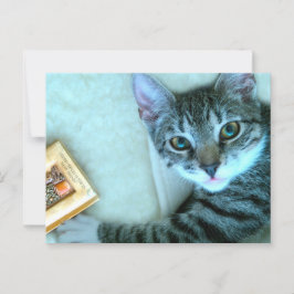 Postal Paso a paso de gato