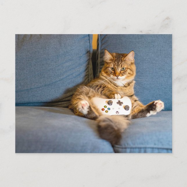 Postal Paso a paso del jugador de gato (Anverso)