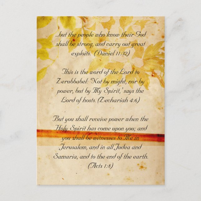 Postal Paso de la Biblia, flores grises (Anverso)