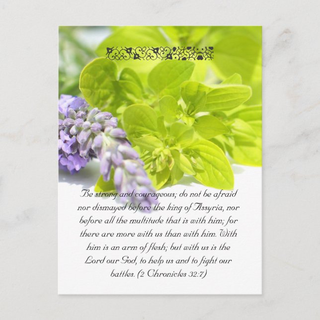 Postal Paso de la Biblia, las hierbas se cierran (Anverso)