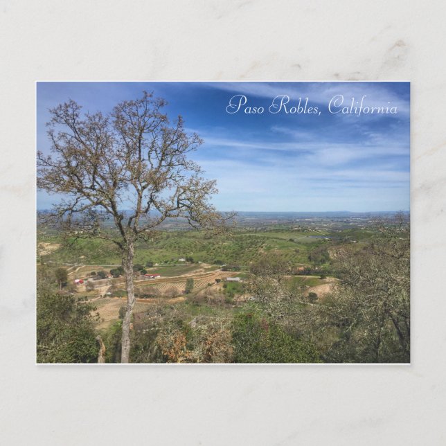 Postal Paso Robles Postcard (Anverso)