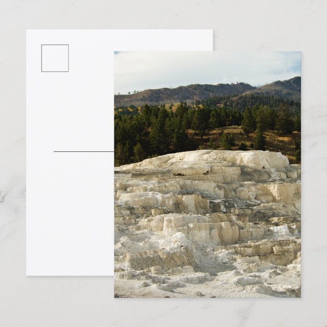 Postal Pasos de Mamut 2008 (Anverso / Reverso)