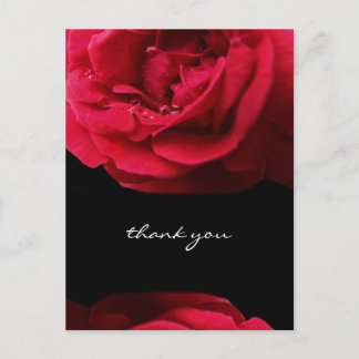 Postal Passion Red Rose Gracias