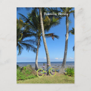 Postal Pastel de Bicicletas Océano Florida Postcard