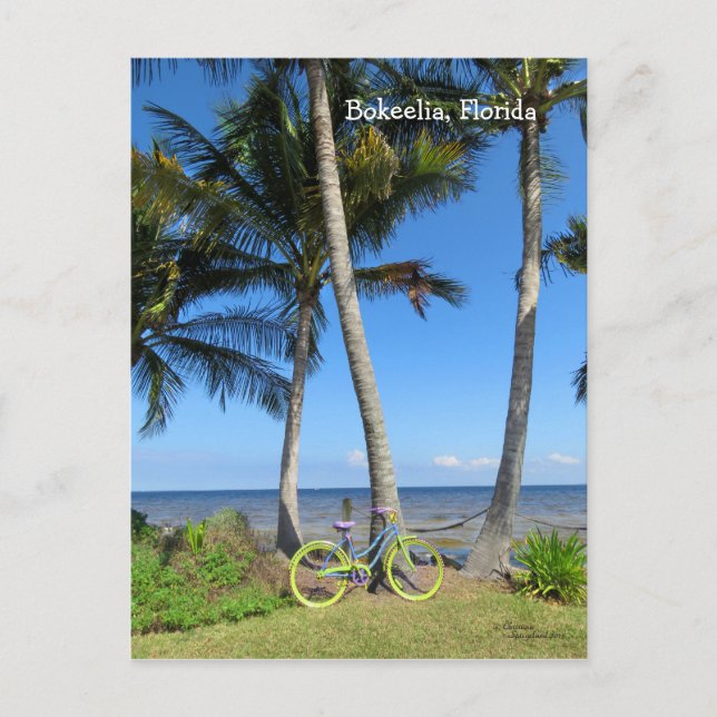 Postal Pastel de Bicicletas Océano Florida Postcard (Anverso)