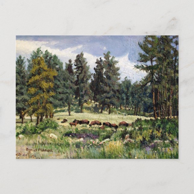 Postal Pastel de búfalo en Dakota del Sur (Anverso)