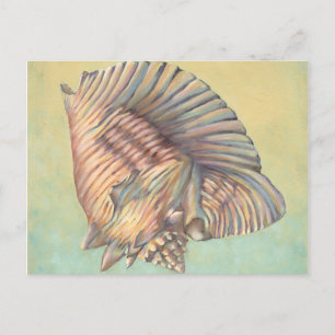 Postal Pastel de concha grande