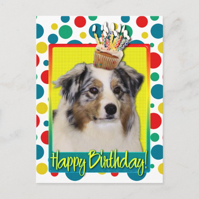Postal Pastel de cumpleaños - Pastor australiano (Anverso)