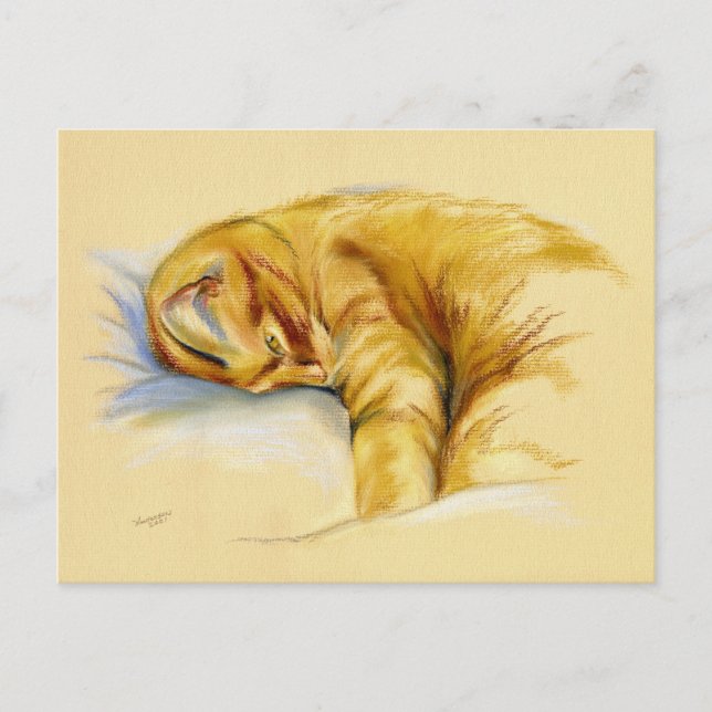 Postal Pastel de gato - Naranja Tabby Pose Relajado (Anverso)