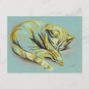 Postal Pastel de gato - Sleeping Tabby Kitten