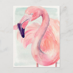 Postal Pastel Flamingo