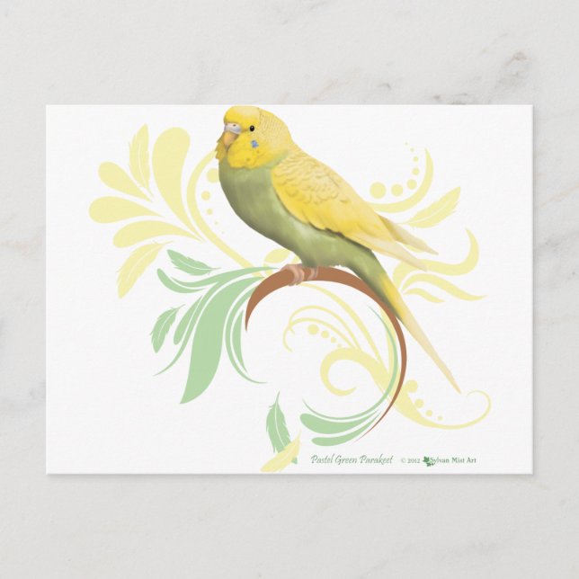 Postal Pastel Green Parakeet (Anverso)