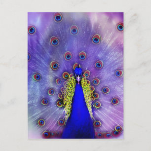 Postal Pastel Peacock Blue Bird