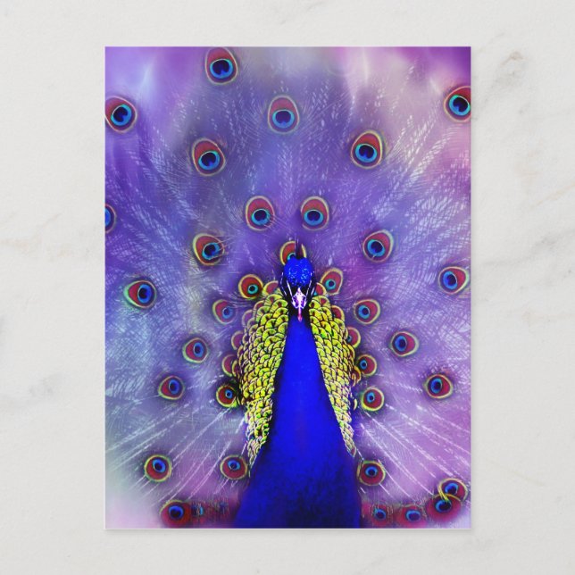 Postal Pastel Peacock Blue Bird (Anverso)