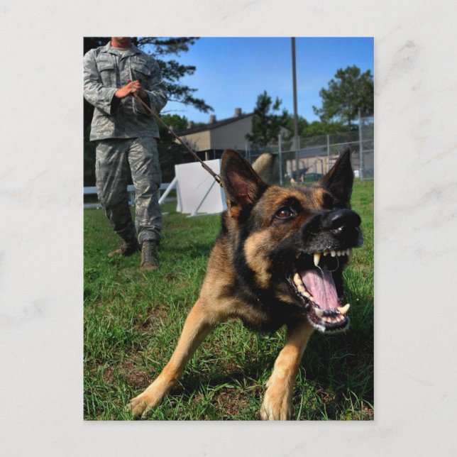 Postal Pastor alemán de ladrido (Anverso)