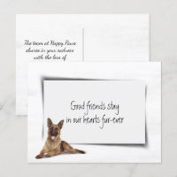 Pastor Alemán Simpatía Pérdida de Mascota