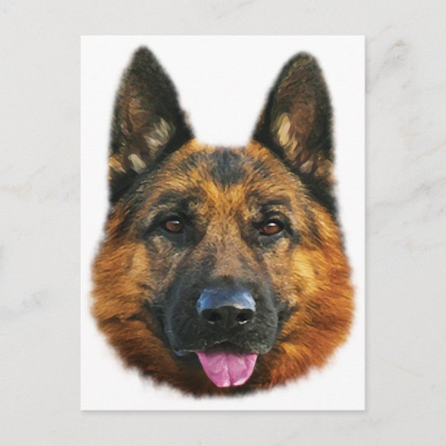 Postal Pastor Alsatiano Alemán K-9 Perro (Anverso)
