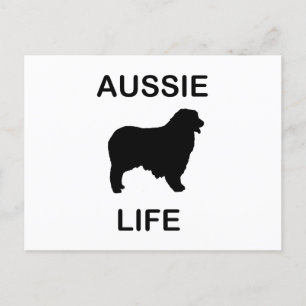 Postal pastor australiano aussie life