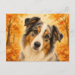 Postal Pastor Australiano Bosque de Otoño Perro