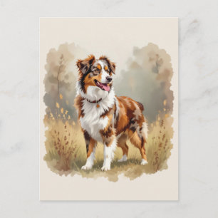 Postal Pastor Australiano Perro Rojo Merle Aussie