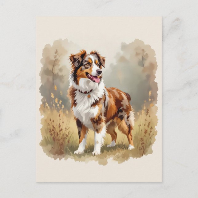 Postal Pastor Australiano Perro Rojo Merle Aussie (Anverso)
