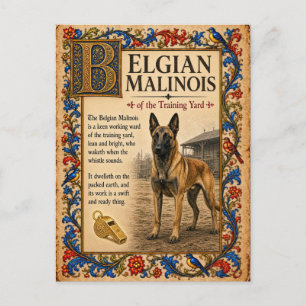 Postal Pastor Belga Malinois, Arte de Bestiario Medieval