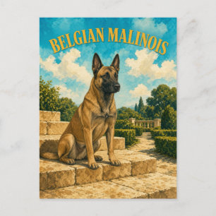 Postal Pastor Belga Malinois, Arte de Perro con Acuarela 