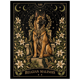 Postal Pastor Belga Malinois, Arte de Tarot Starlit