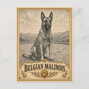 Postal Pastor Belga Malinois, Perro Patrimonio Vintage