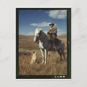 Postal Pastor con su caballo y su perro en el rango de gr