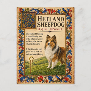 Postal Pastor de Shetland, Arte de Bestiario Medieval