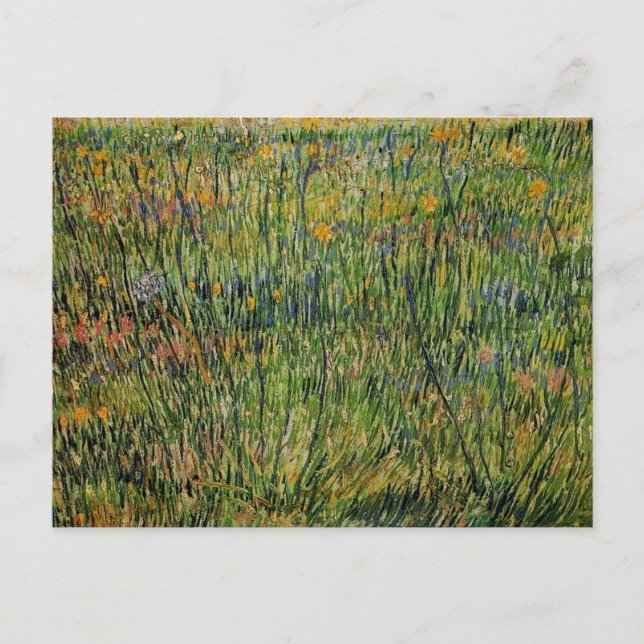 Postal Pastor en Bloom por Vincent van Gogh (Anverso)