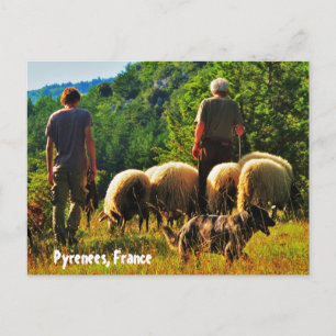 Postal Pastor en Francia