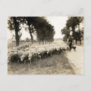 Postal Pastor Francés 1921