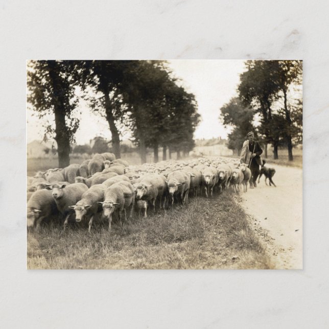 Postal Pastor Francés 1921 (Anverso)